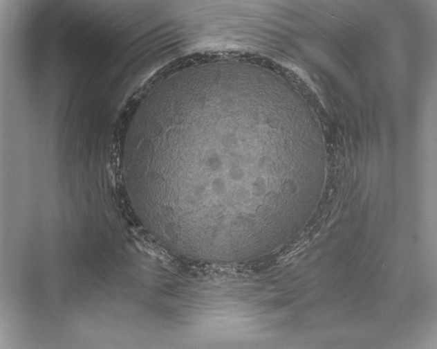 X0000073410871200608111322