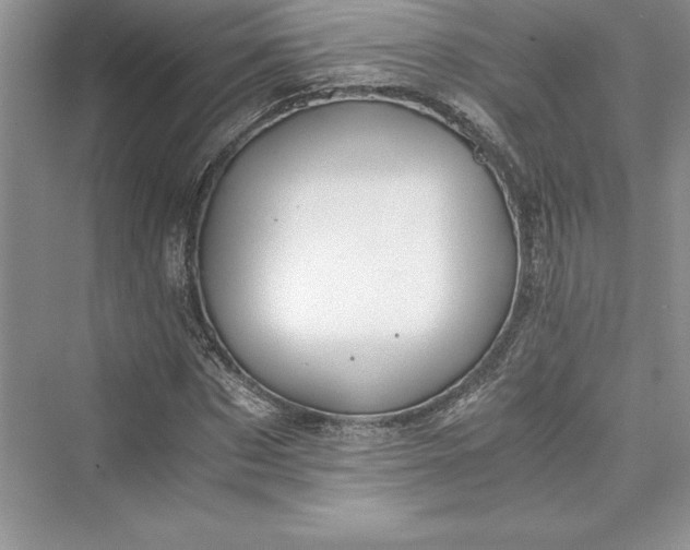 X0000073410873200608111322