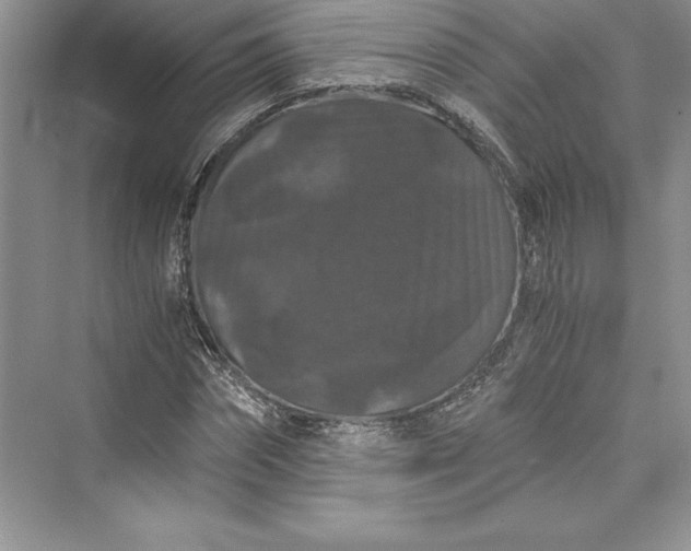 X0000073410874200608111322