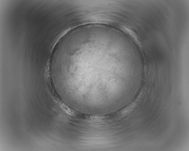 X0000073410875200608111322