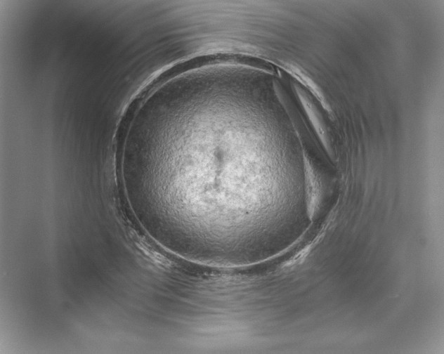 X0000073410877200608111322