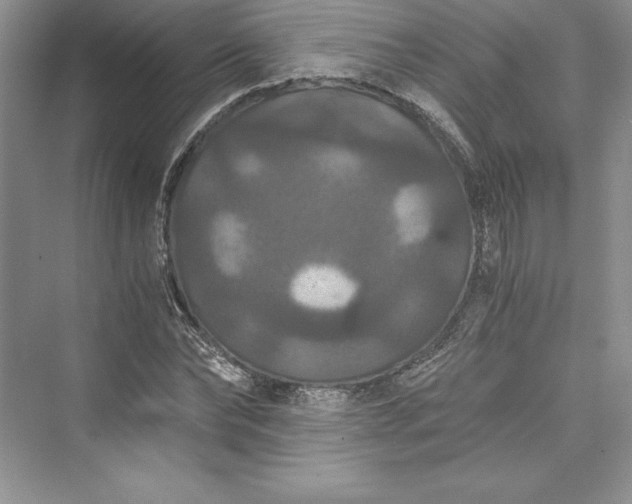 X0000073410878200608111322