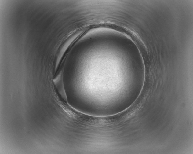 X0000073410881200608111322