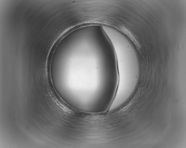 X0000073410884200608111322