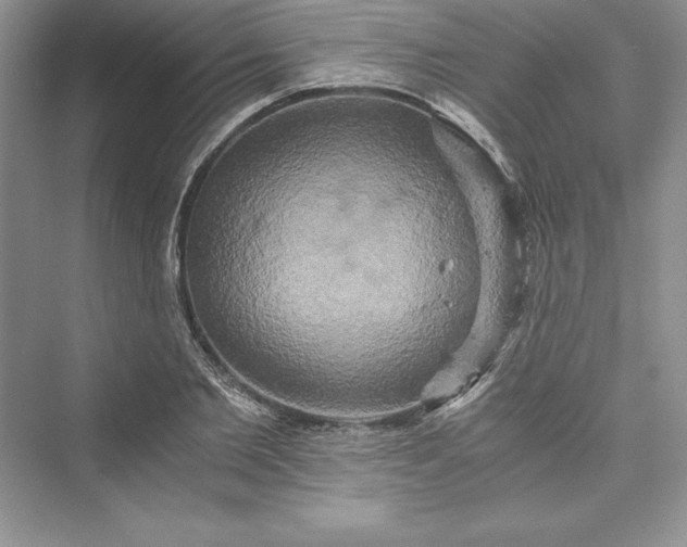 X0000073410885200608111322