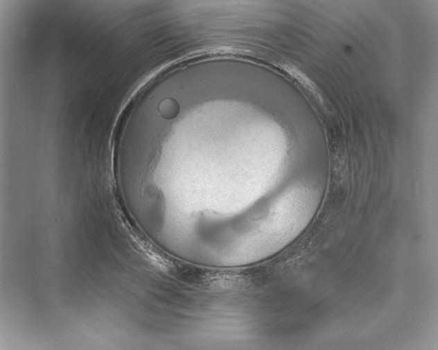 X0000073410886200608111322