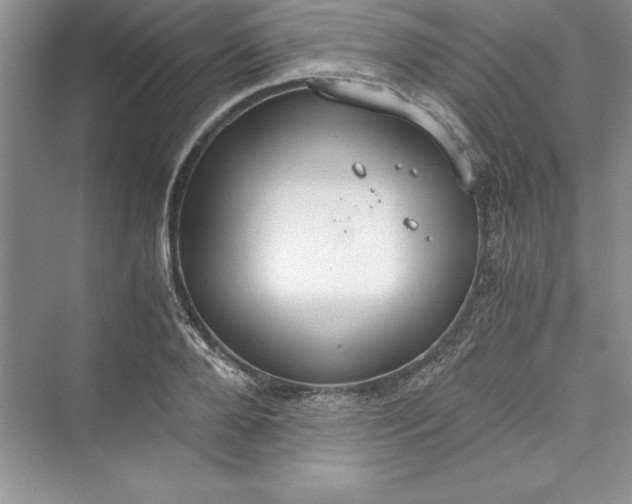 X0000073410888200608111322