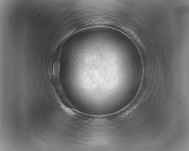 X0000073410889200608111322