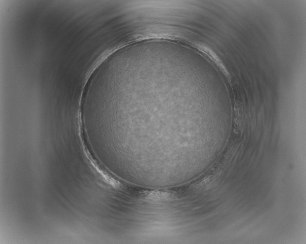 X0000073410890200608111322