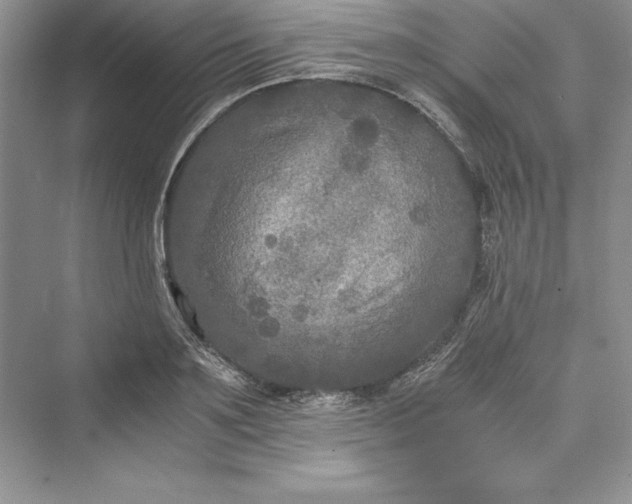 X0000073410891200608111322