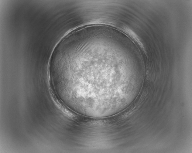 X0000073410892200608111322