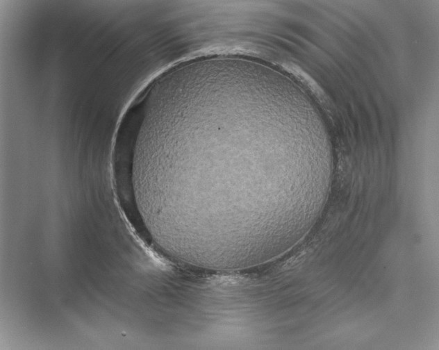 X0000073410894200608111322