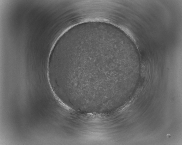 X0000073410895200608111322