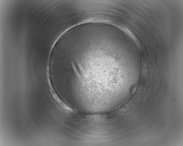 X0000073410896200608111322