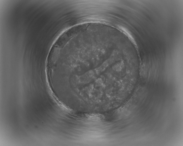 X0000073410899200608111322