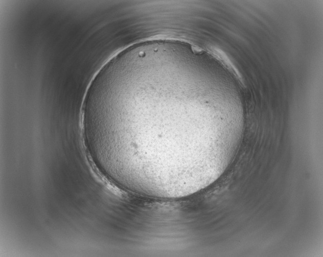 X0000073410900200608111322