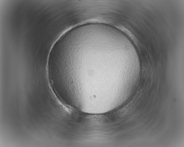 X0000073410902200608111322