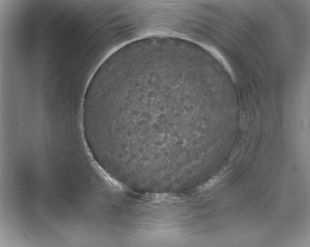 X0000073410903200608111322