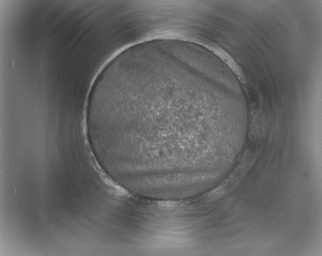 X0000073410904200608111322