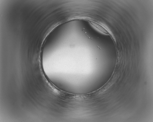 X0000073410906200608111322