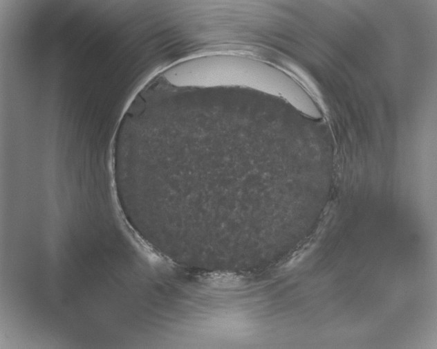 X0000073410907200608111322