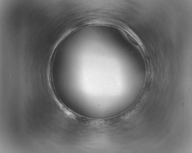 X0000073410909200608111322