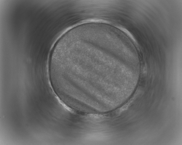 X0000073410910200608111322