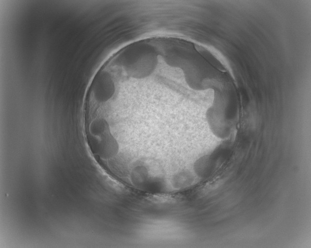 X0000073410911200608111322