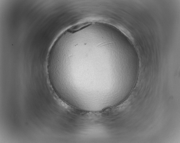 X0000073410912200608111322