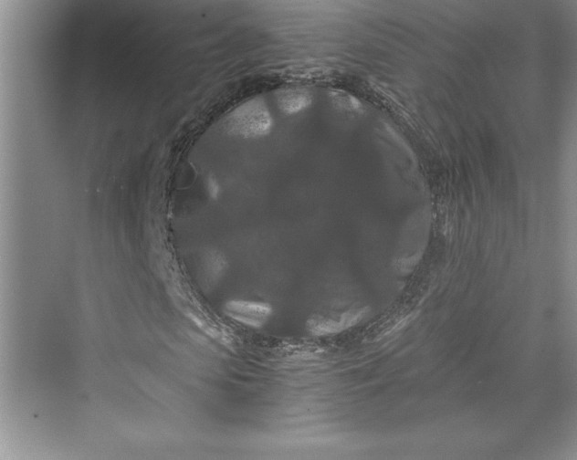 X0000073410913200608111321