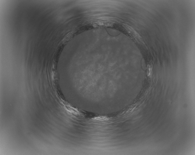 X0000073410915200608111321