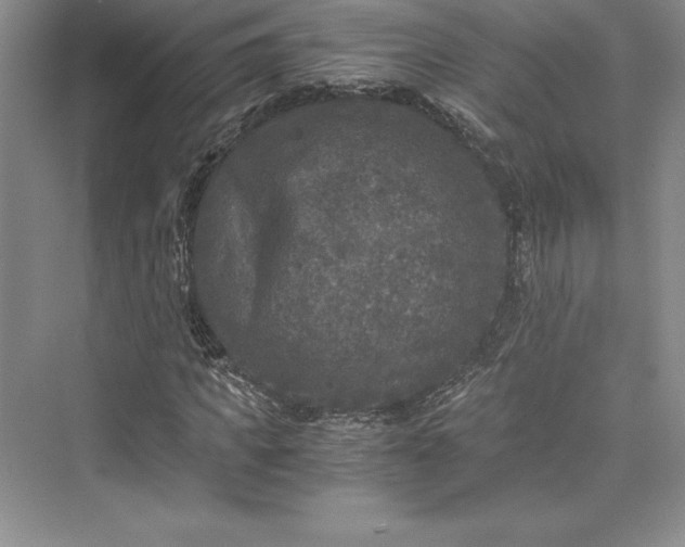 X0000073410917200608111321