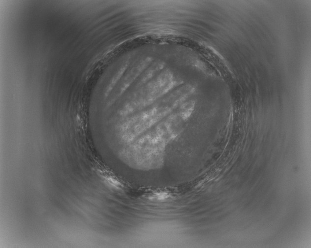 X0000073410919200608111321