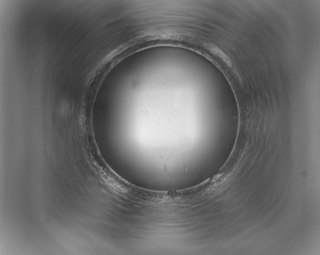 X0000073410922200608111321