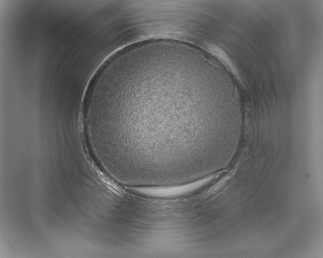 X0000073410924200608111321