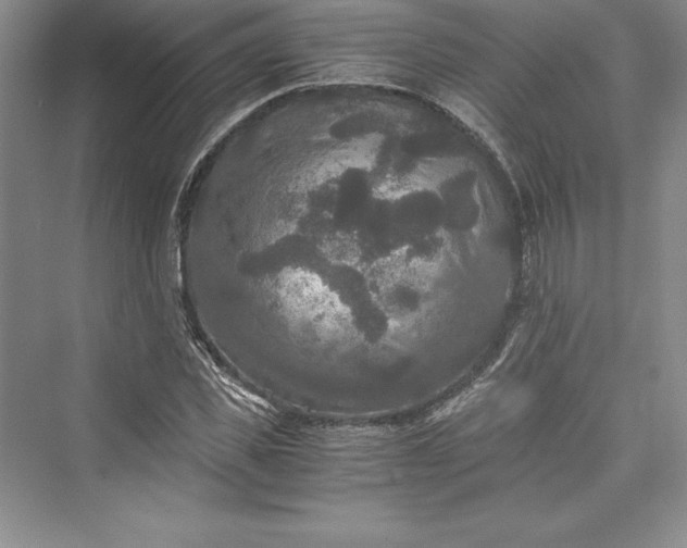 X0000073410925200608111321