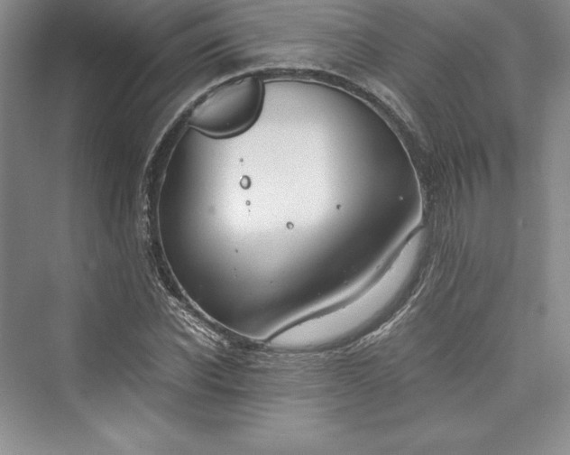 X0000073410926200608111321