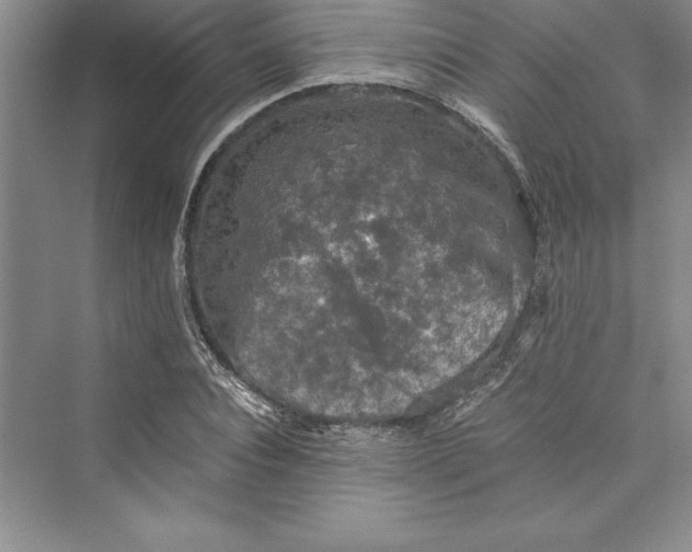 X0000073410928200608111321