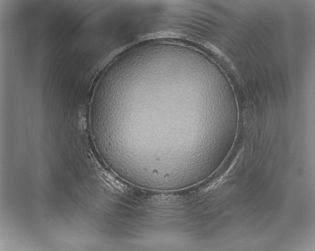 X0000073410929200608111321