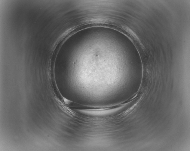 X0000073410930200608111321