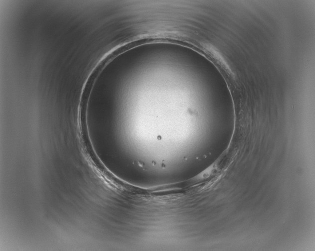 X0000073410932200608111321