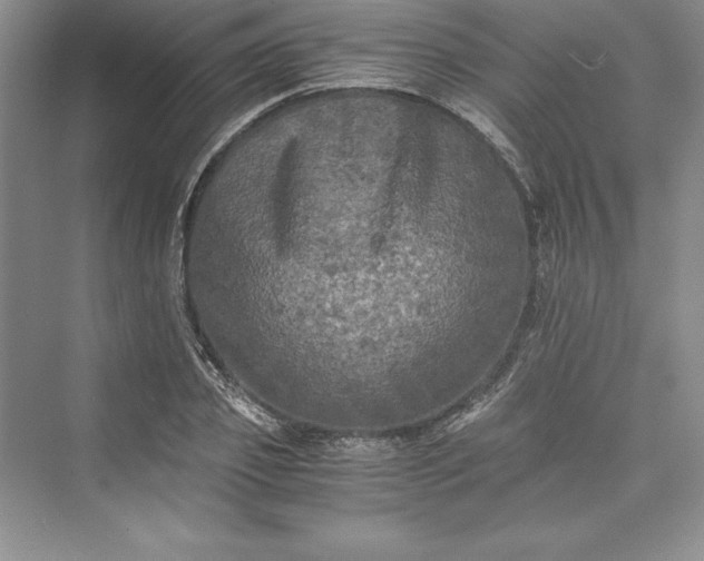 X0000073410933200608111321