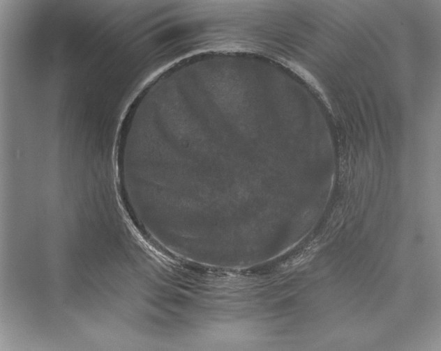 X0000073410935200608111321