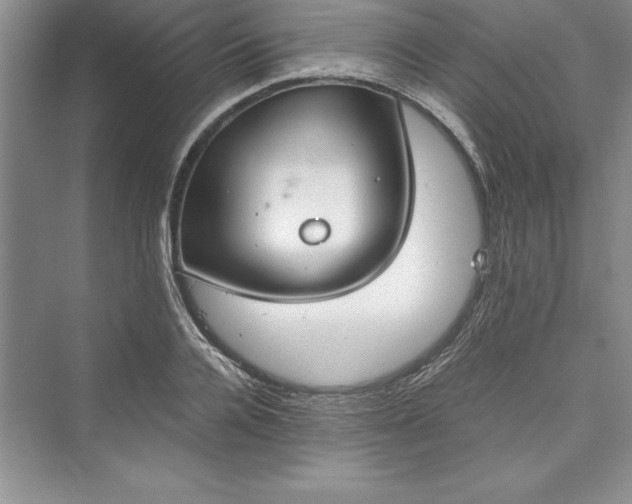 X0000073410936200608111321