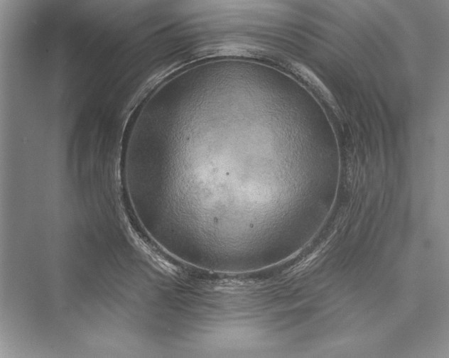 X0000073410938200608111321