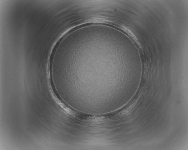 X0000073410939200608111321