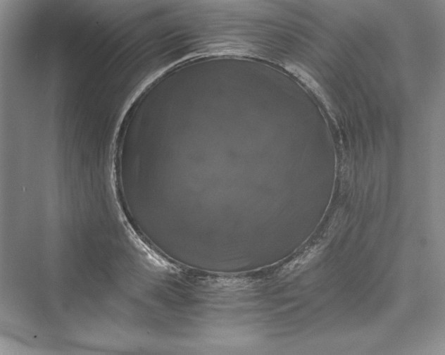 X0000073410941200608111321