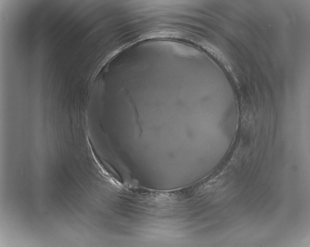 X0000073410945200608111321