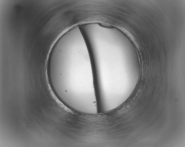 X0000073410949200608111321