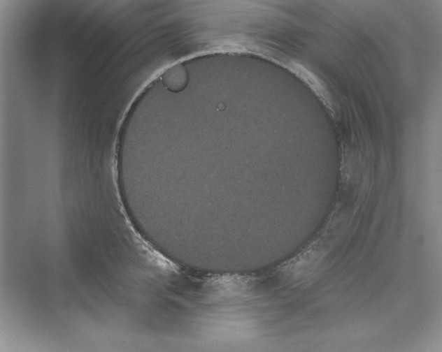 X0000073410950200608111321